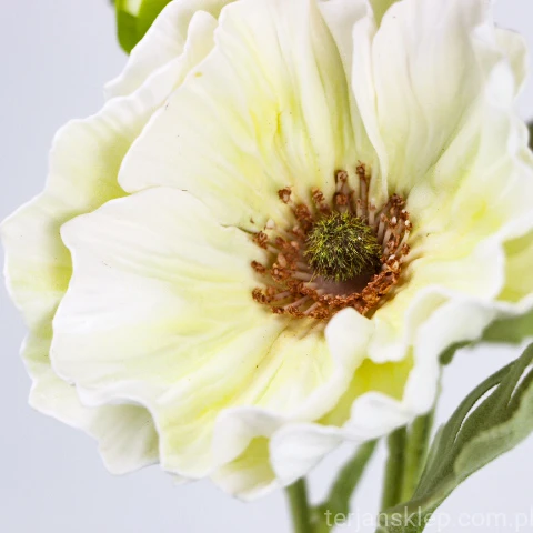 TERJAN_3958 (169).JPG