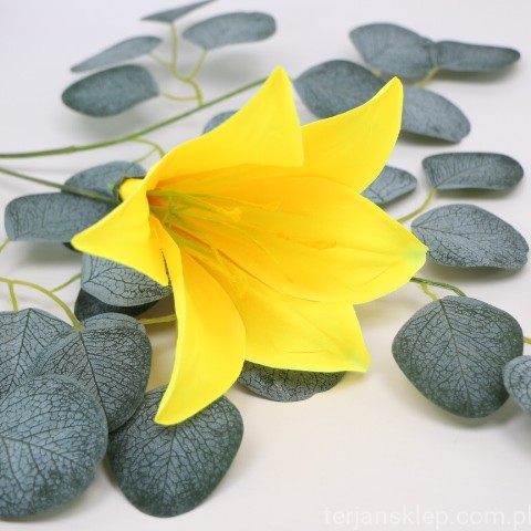 IMG (4335).JPG