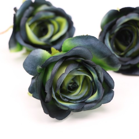 IMG (4344).JPG