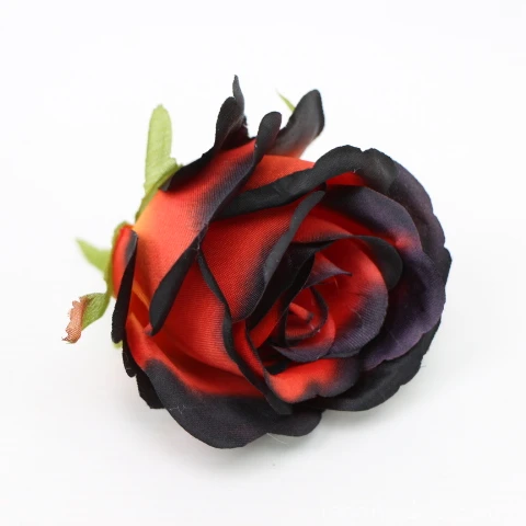 IMG (4348).JPG
