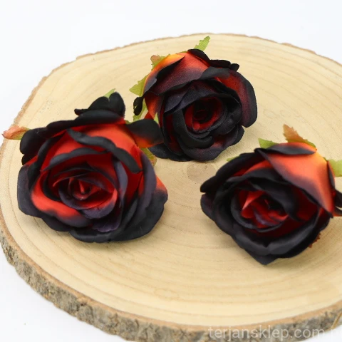 IMG (4349).JPG