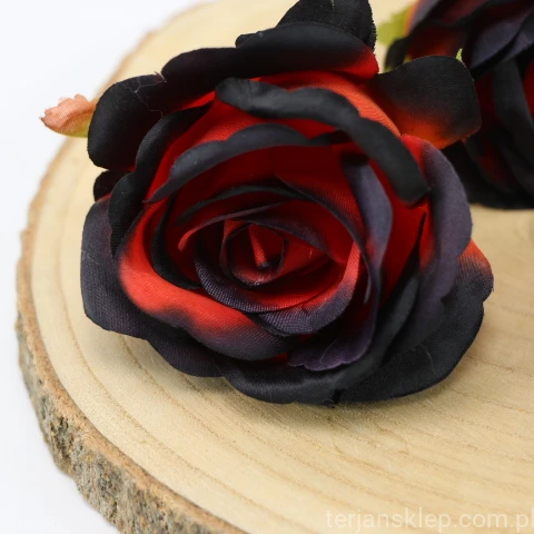 IMG (4350).JPG