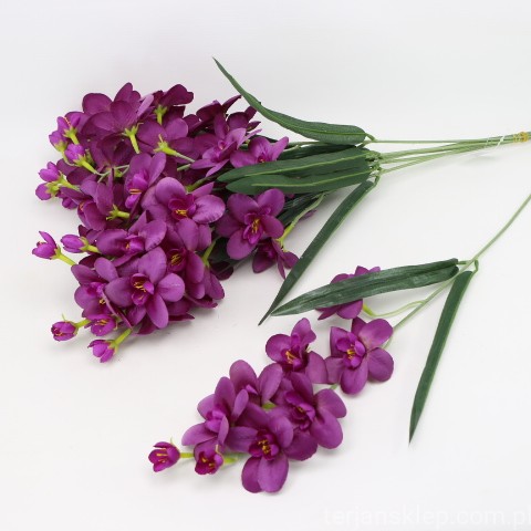 IMG (4355).JPG