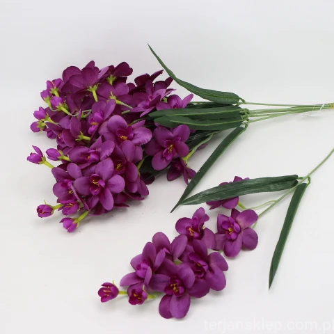 IMG (4356).JPG