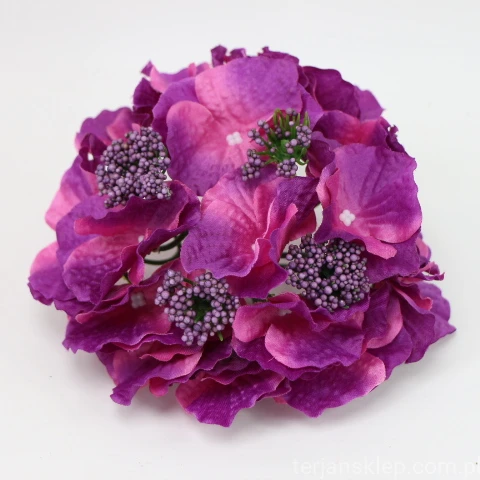IMG (4361).JPG