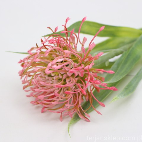 IMG (4363).JPG