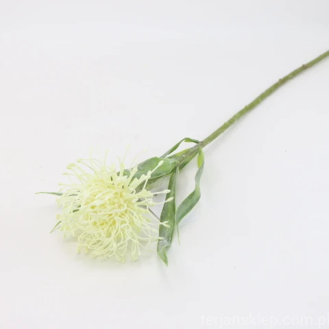 IMG (4368).JPG