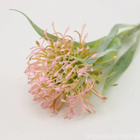 IMG (4371).JPG