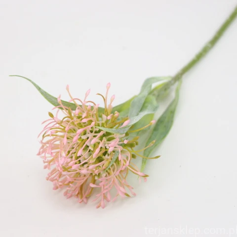 IMG (4372).JPG