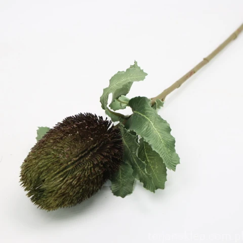 IMG (4375).JPG