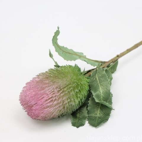 IMG (4382).JPG