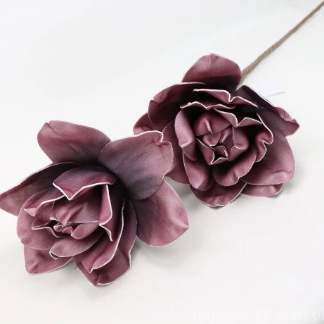 IMG (34582).JPG