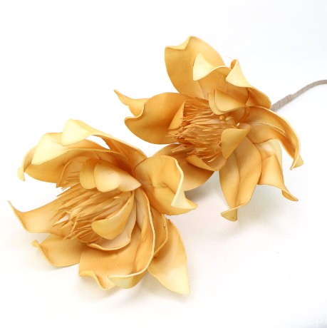IMG (34589).JPG