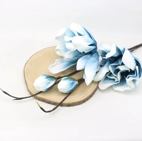 IMG (34610).JPG