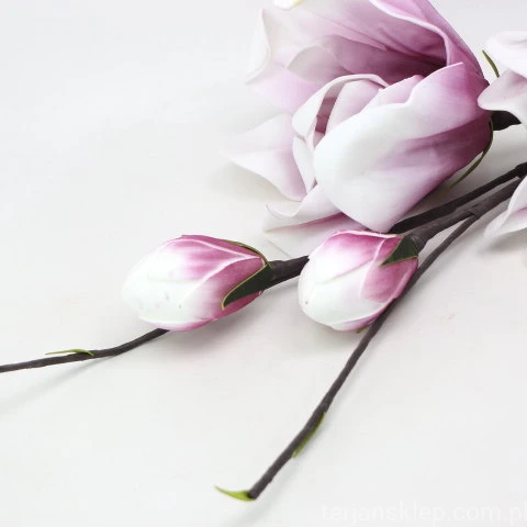 IMG (34612).JPG