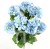 IMG (34622).JPG