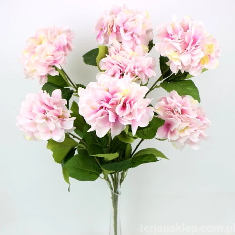 IMG (34627).JPG