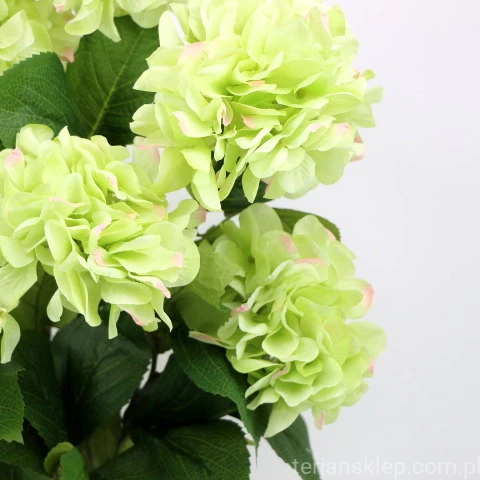 IMG (34630).JPG