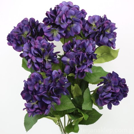 IMG (34631).JPG
