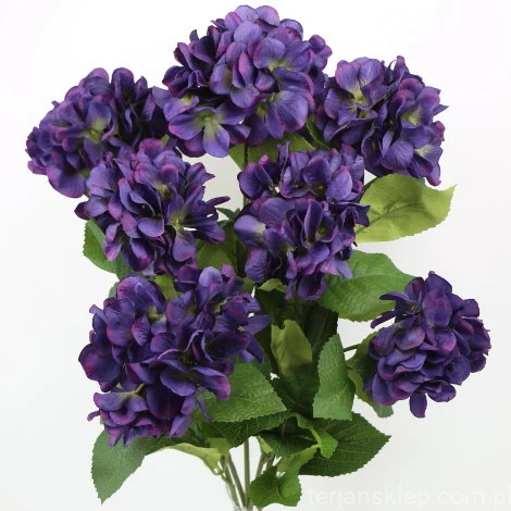 IMG (34631).JPG