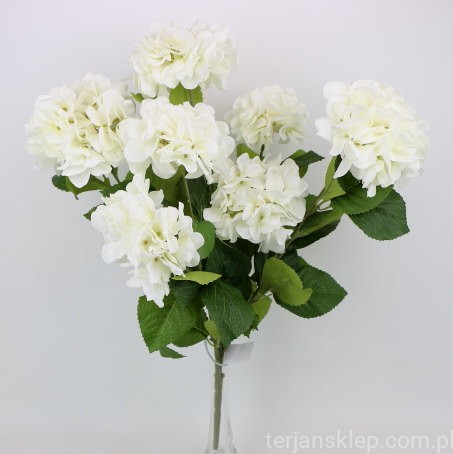 IMG (34635).JPG