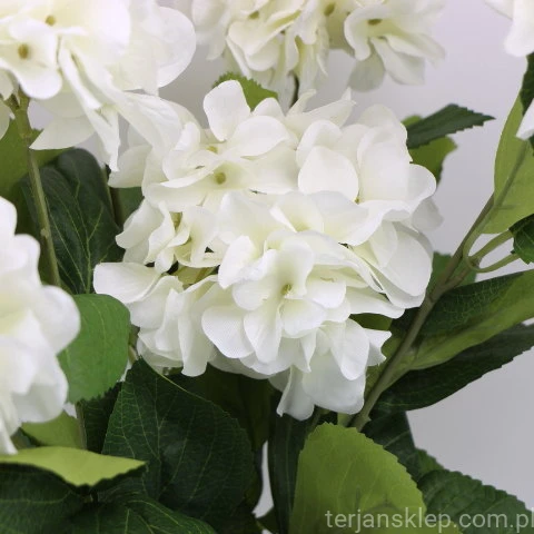 IMG (34636).JPG