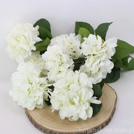 IMG (34637).JPG