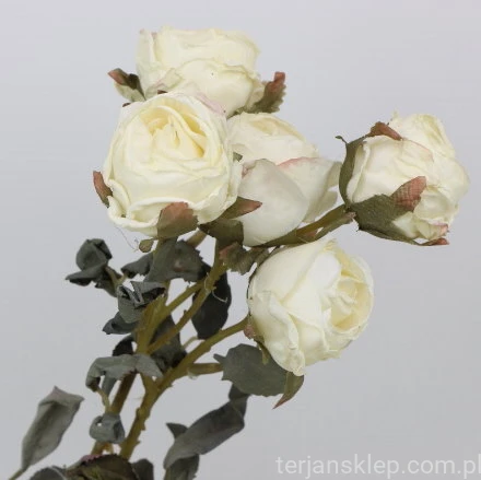 s (34726).JPG