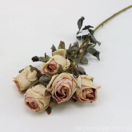 s (34730).JPG