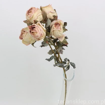 s (34731).JPG