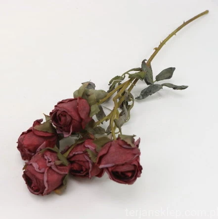 s (34735).JPG