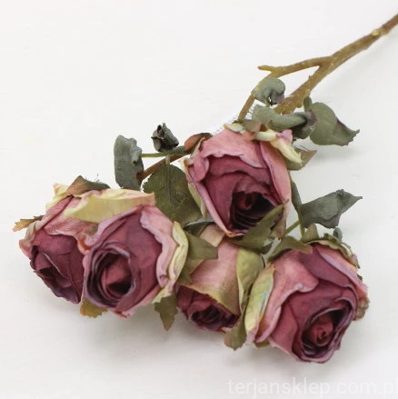 s (34737).JPG