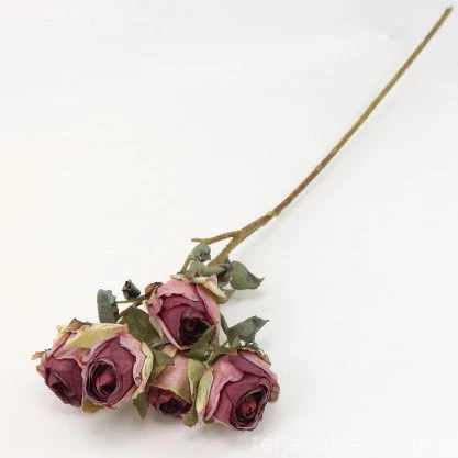 s (34738).JPG
