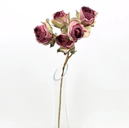 s (34740).JPG