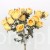 s (34742).JPG