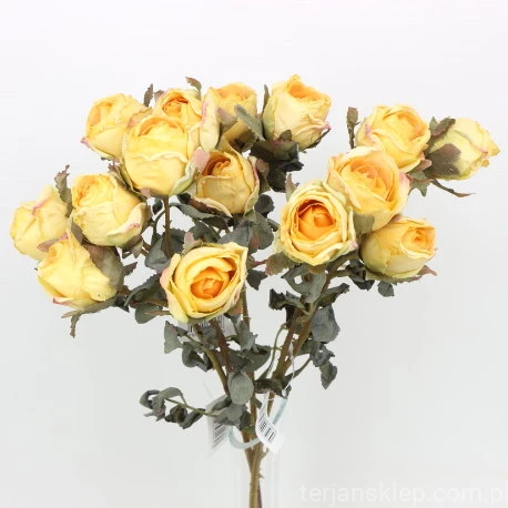 s (34742).JPG