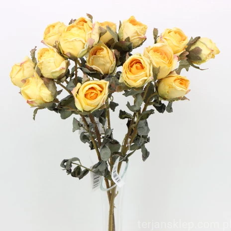 s (34743).JPG