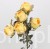 s (34744).JPG