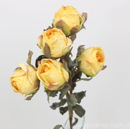s (34744).JPG