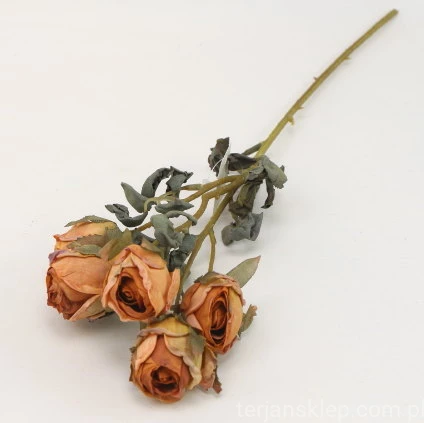s (34748).JPG