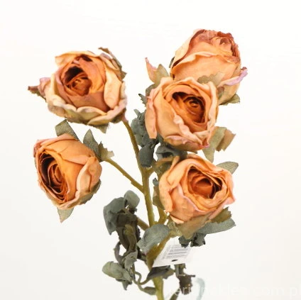 s (34749).JPG