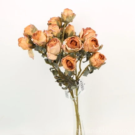 s (34750).JPG