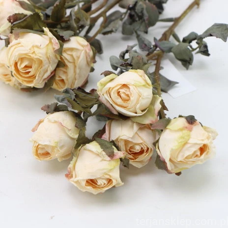 s (34753).JPG