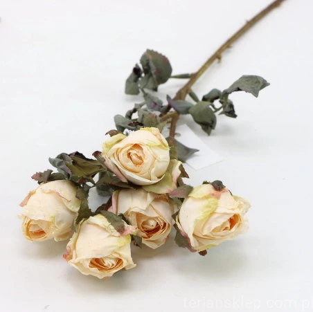s (34755).JPG