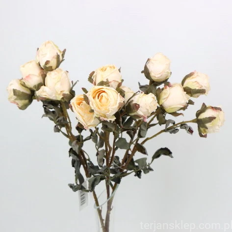 s (34756).JPG