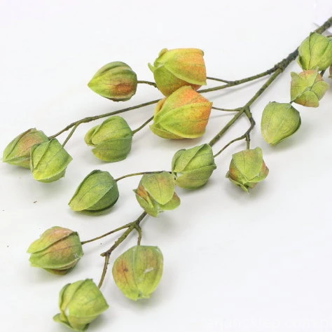 s (34765).JPG