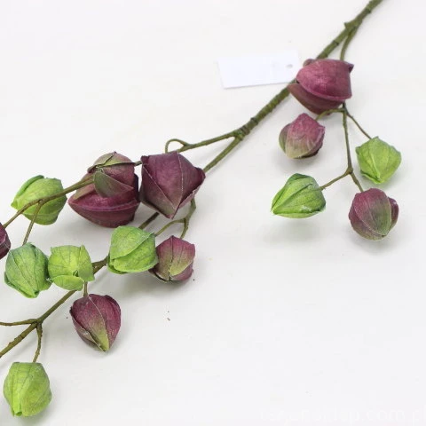 s (34767).JPG