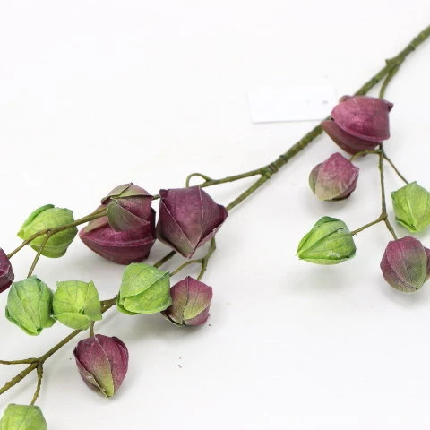 s (34768).JPG