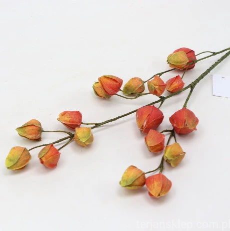 s (34757).JPG