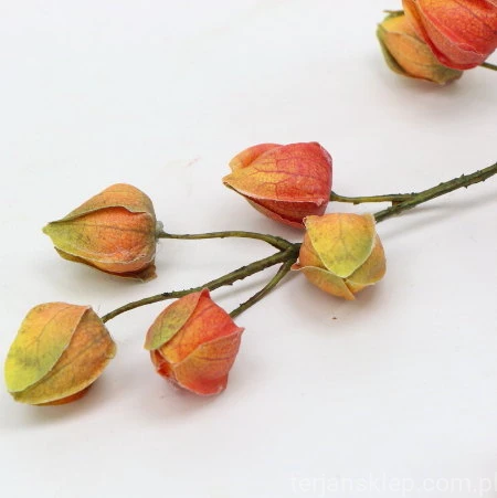 s (34758).JPG